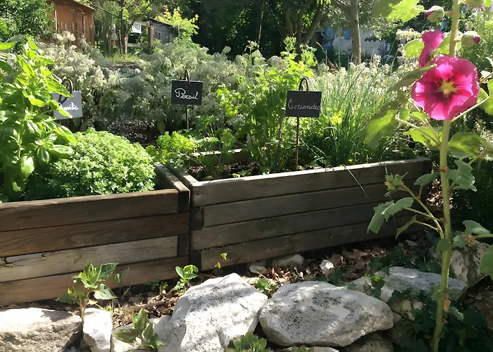 Le Gue De Champagne *