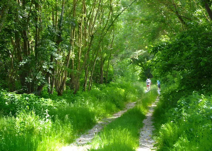 Le Gue De Champagne بيت للعطل *