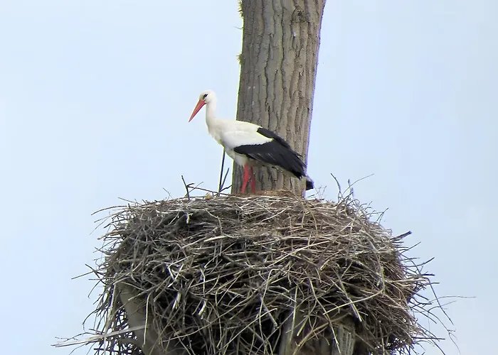 بيت للعطل Le Gue De Champagne *